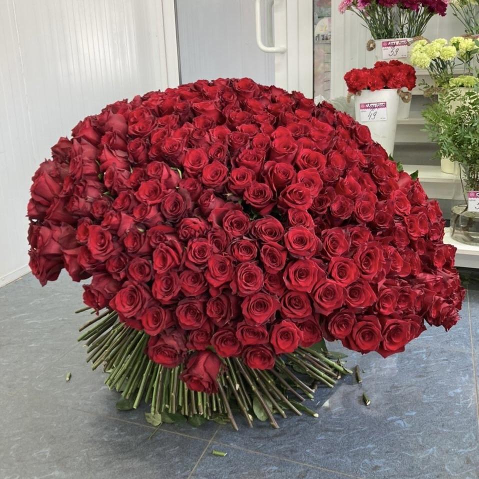 Букеты из красных роз 80 см (Эквадор) (артикул букета: 15756tm)