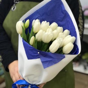 Белые тюльпаны 23 шт. артикул букета   26169