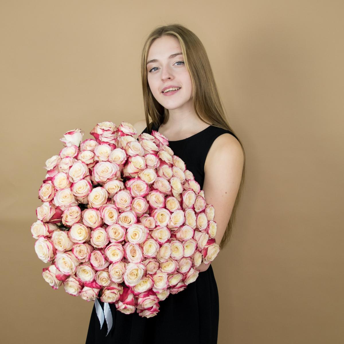 Розы красно-белые 75 шт 40 см (Эквадор) артикул  6929tmn