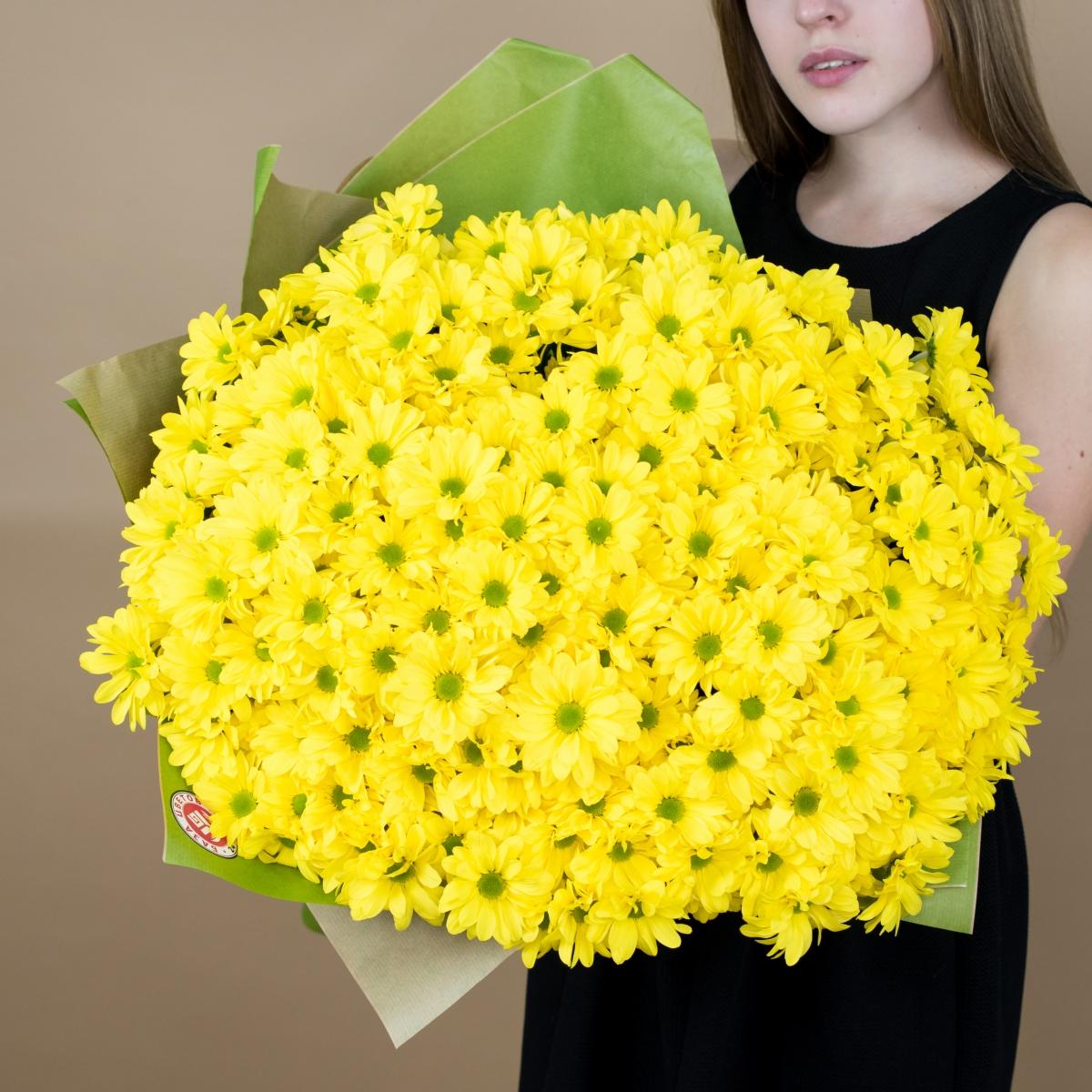 Хризантема кустовая желтая артикул букета - 7189tum