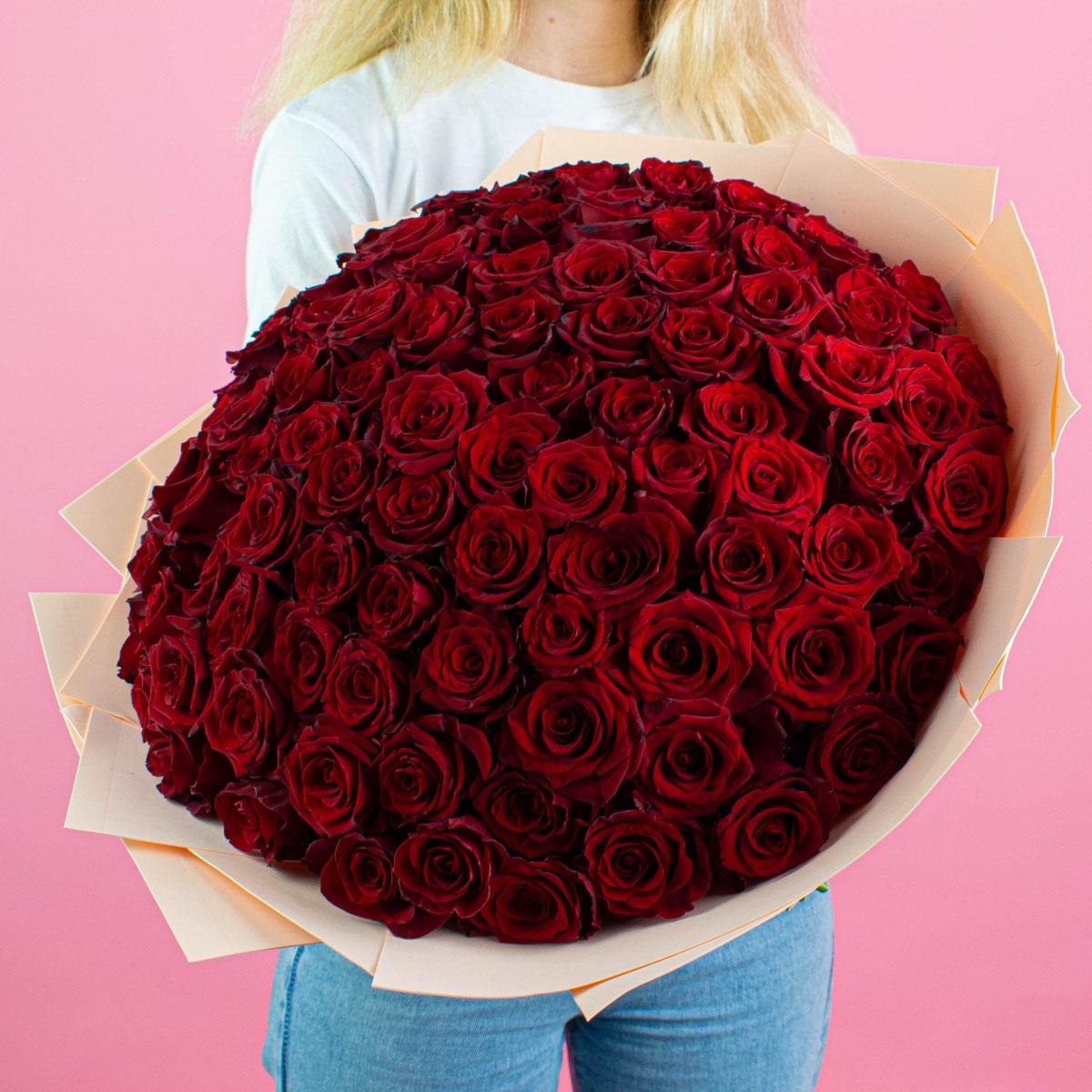 Розы Эквадор 40 см (Красный)