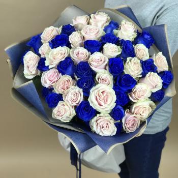 Белая и Синяя Роза 51шт 70см (Эквадор) articul  8918